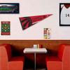 Toronto Raptors Pennant Flag and Wall Tack Pads Mounts view 3