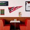 Carolina Hurricanes Pennant Flag and Wall Tack Pads Mounts view 3