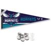 Charlotte Hornets Pennant Flag and Wall Tack Pads Mounts view 1