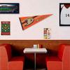 WinCraft Anaheim Ducks Pennant Flag and Wall Tack Pads Mounts view 3