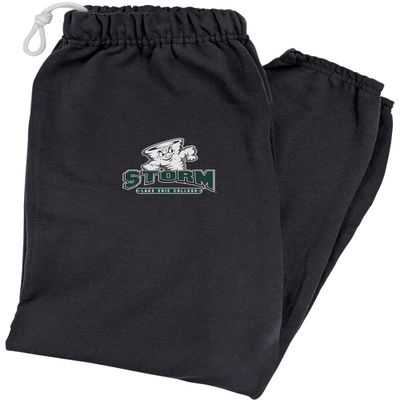 LOGOVISION Lake Erie College Primary Logo Mens Jogger Sweatpants, Black, Medium