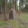 Ghillie Ground Blind Cover, Large to Cover a Ground Blind or Tent (Woodland) view 2