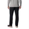 Columbia Men's Landroamer Pant, Black, 42 view 2