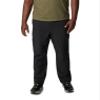 Columbia Men's Landroamer Pant, Black, 42 view 3