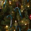 FOCO Philadelphia Eagles NFL 12 Pack Candy Cane Ornament Set view 3