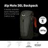 Salewa Sport, Dark Olive, 36L view 3