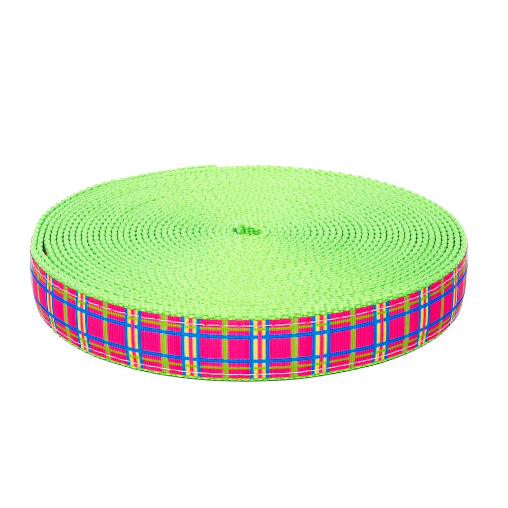 Country Brook Design - 3/4 Inch Spring Pink Plaid on Hot Green Nylon Webbing, 5 Yds.