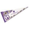 Delta Phi Epsilon Greek Pennant Banner Flag view 1