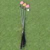 WENGH Golf Wedge Set for Women or Men Right Handed Including 52 56 60 Degree Golf Wedges with CNC Milled Face-(Flex-Regular)-35 inches-Rainbow Colored Wedges view 3