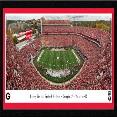 Georgia Bulldogs Football - 42x15.5-inch Single Mat, Select Framed Picture by Blakeway Panoramas