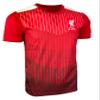 Men's Liverpool Performance Jersey, Licensed Liverpool Red Stripe Shirt (AS) view 2