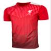 Men's Liverpool Performance Jersey, Licensed Liverpool Red Stripe Shirt (AS) view 3
