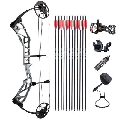 ZSHJGJR Compound Bow Kit, Hunting and Target, Limb Made in USA,BCY String; Draw Weight 19-70 lbs, Draw Length 19-30", IBO 320FPS, Package with Archery Hunting Accessories (Grey)