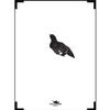 Accurize Shooting Target Capercaillie /5 m view 1
