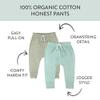 HonestBaby Multipack Honest Pants Joggers Pull on 100% Organic Cotton for Infant Baby and Toddler, Boys, Girls, Unisex, Sage Ombre, 0-3 Months view 2