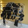 AMAZING HORSE STUFF Double Horse Nylon Driving Harness in Black with White Trim (Full, Cob, Pony, Shetland & Mini) (Mini) view 3