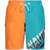 Nautica Little Boys' Swim Trunk with UPF 50+ Sun Protection, Tailwinds Scuba Blue, 4 view 1
