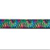 Country Brook Design - Tie Dye Stripes Ribbon on Black Nylon Webbing (1 Inch, 10 Yards) view 2