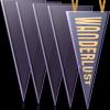 Gueevin 12 x 30 Inches Pennant Holder Clear Hard Rigid Plastic Pennant Flag Frame Flag Holder for Displaying Sports Banner 31 x 13.5"(5 Pcs) view 1