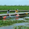 2 Seats Clear Kayak Boat | Clear Transparent Glass Kayak Canoe | See Through | Fishing, Touring, Rental,Have Fun view 2