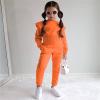 2pcs Girls Winter Outfit, Kids Girls Solid Cotton Long Sleeve T Shirt and Long Pants Set Outfits Clothes (A, 4-5 Years) view 3