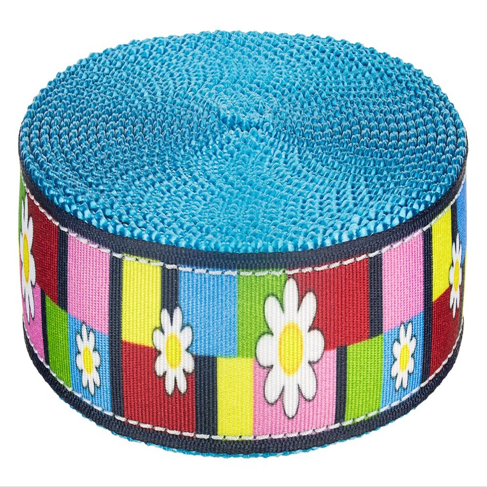 Country Brook Design - Spring Daisies on Ice Blue Nylon Webbing (3/4 Inch, 5 Yards)