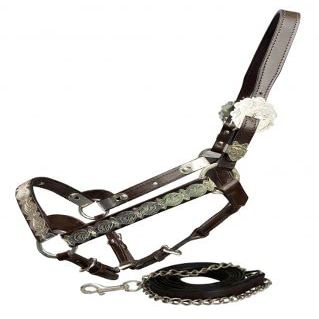 Dark Oil Average Horse Size Leather Double Stitched Show Halter with Matching Lead