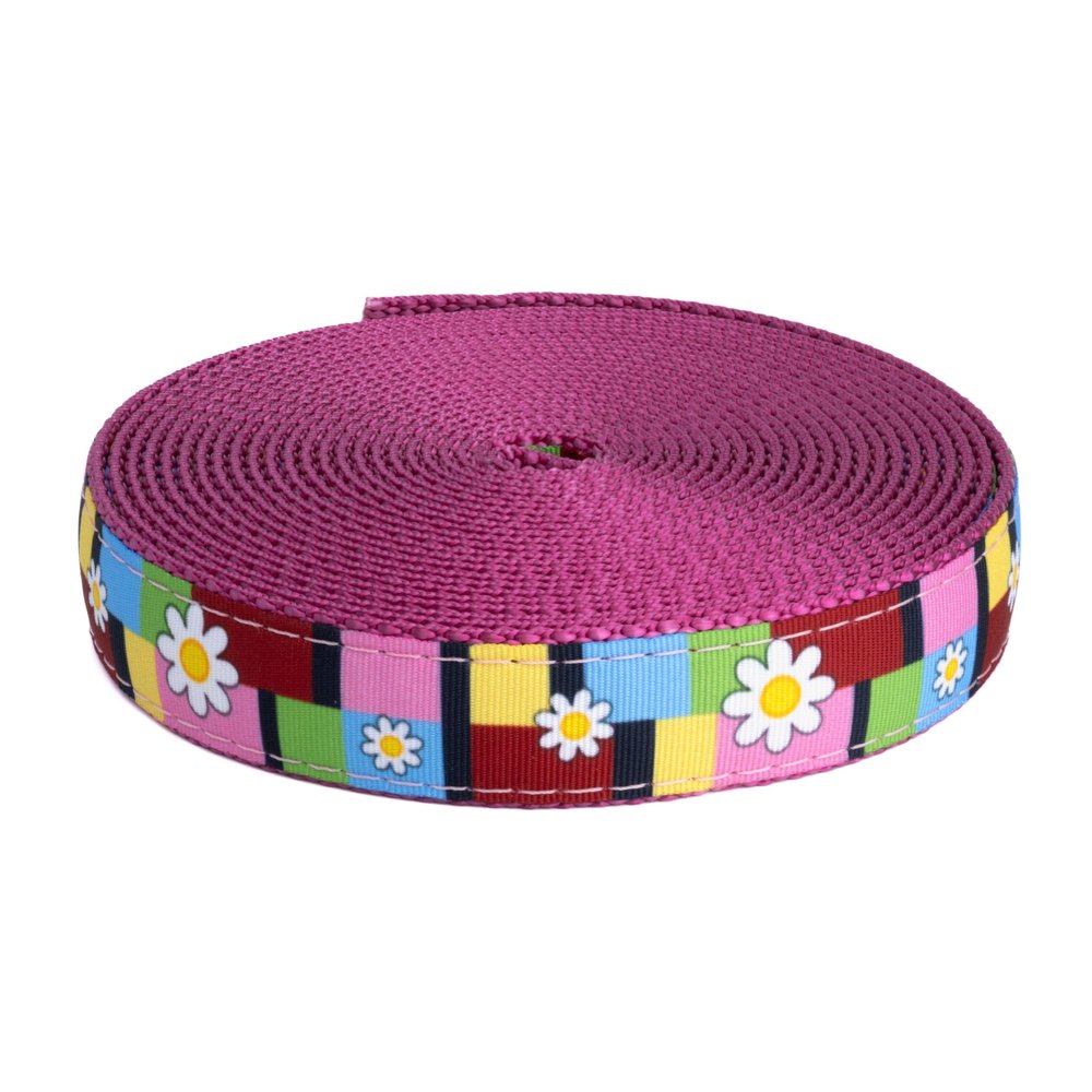 Country Brook Design - Spring Daisies on Rose Nylon Webbing (1 Inch, 10 Yards)