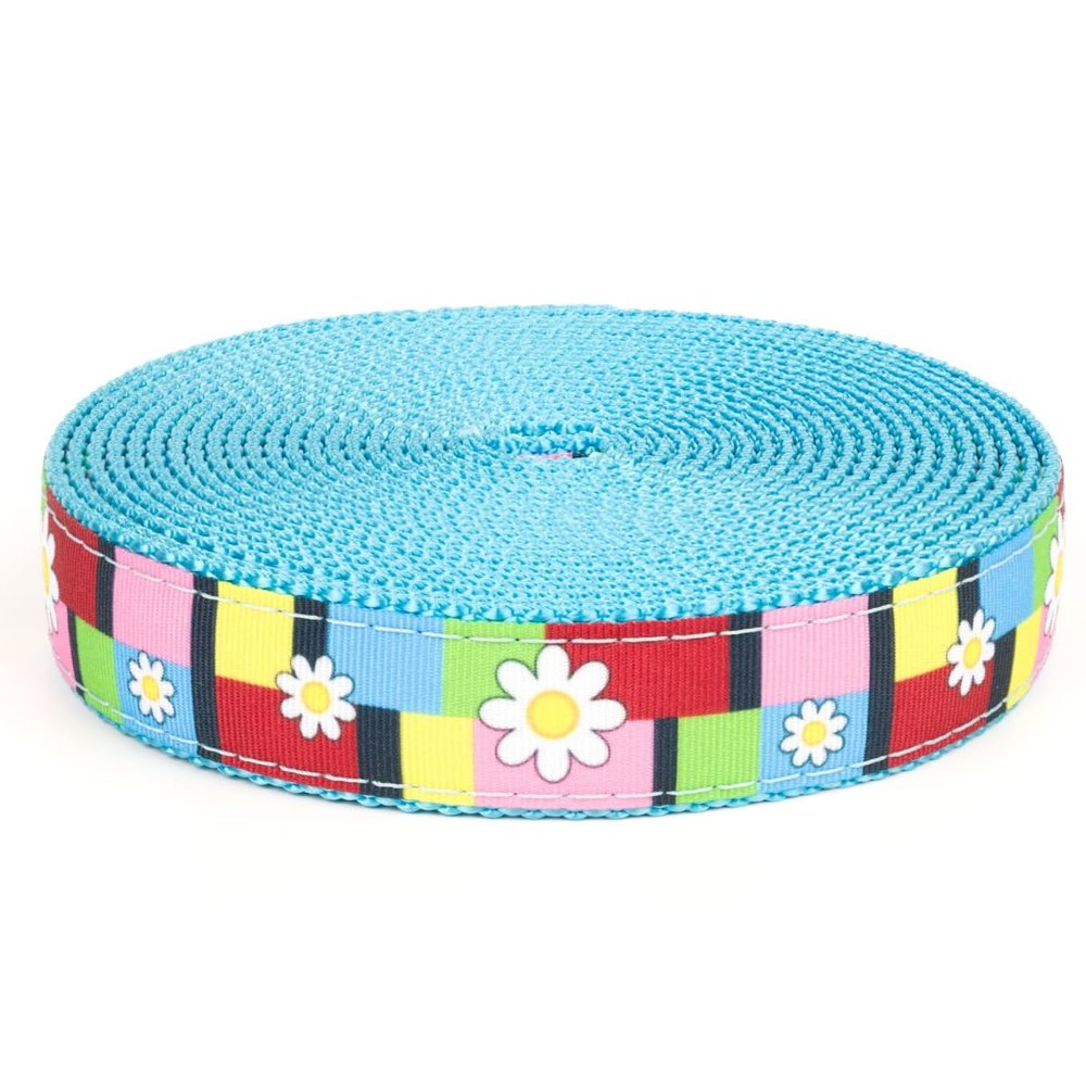 Country Brook Design - 1 Inch Spring Daisies on Ice Blue Nylon Webbing, 50 Yards