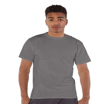 Champion Mens Short Sleeve T-Shirt, L, Stone Grey