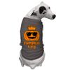 Pumpkin King - Jack O Lantern Dog Shirt (Dark Gray, Small) view 2