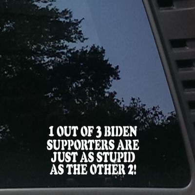 1 Out of 3 Biden Supporters are just as Stupid as The Other 2! - 8" x 2 3/4" die Cut Vinyl Decal/Sticker for Cars, JDM, Trucks, Windows, Boats, Tool Boxes, etc Made and Ships from The USA!
