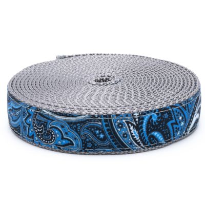 Country Brook Design - Blue Paisley on Silver Nylon Webbing (1 Inch, 10 Yards)