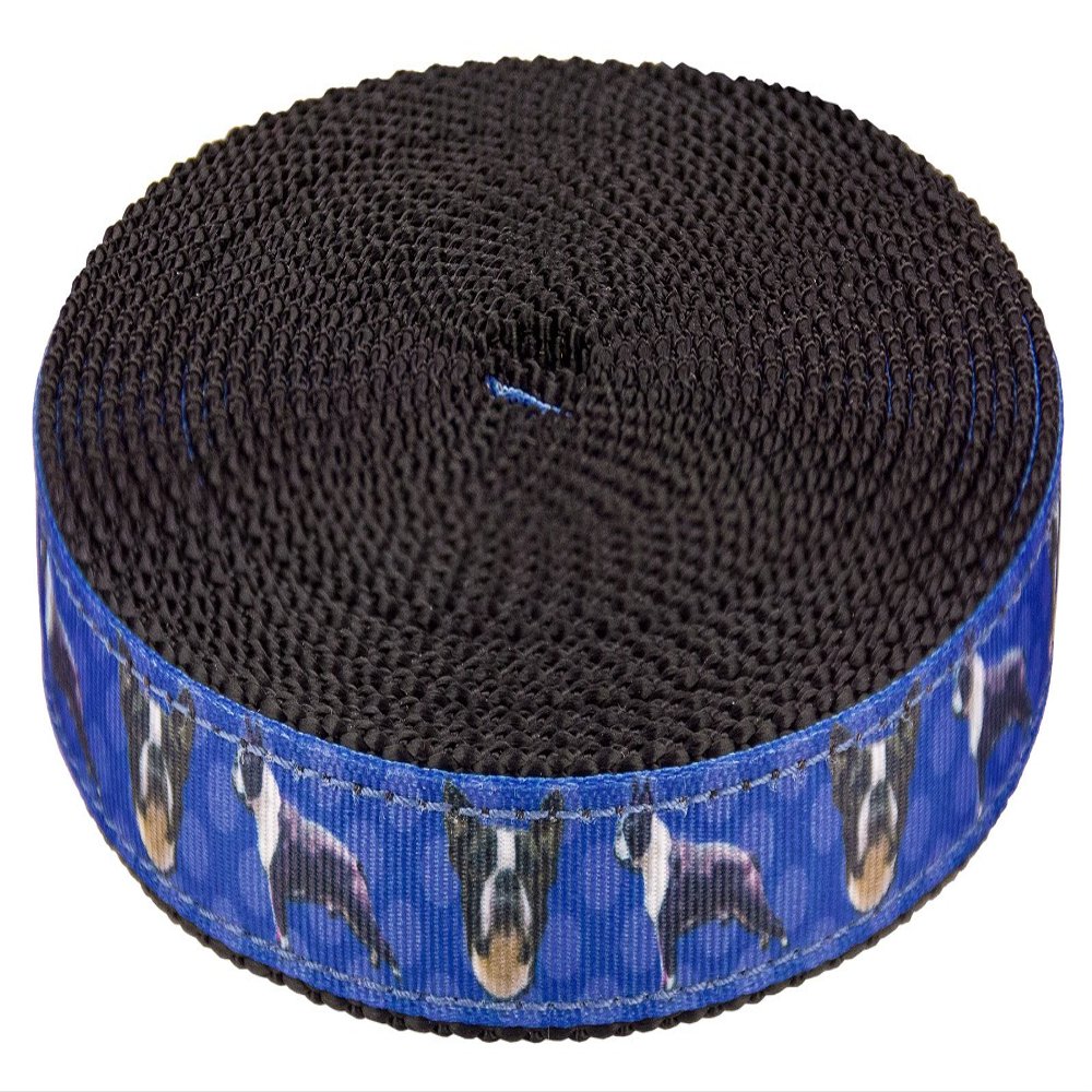 Country Brook Design - Boston Terrier on Black Nylon Webbing Closeout (3/4 Inch, 5 Yards)