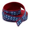 Country Brook Design - Anchors Away on Red Nylon Webbing (1 Inch, 10 Yards) view 4