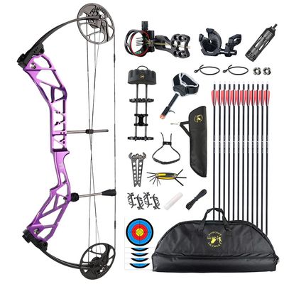 Compound Bow Kit with All Accessory,CNC Milling Riser,USA Gordon Composites Limb,BCY String,19"-30" Draw Length,19-70Lbs Draw Weight,IBO 320fps for Hunting & Target (Purple)