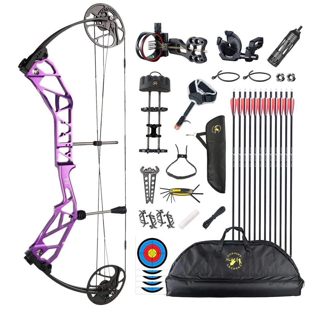 Compound Bow Kit with All Accessory,CNC Milling Riser,USA Gordon Composites Limb,BCY String,19"-30" Draw Length,19-70Lbs Draw Weight,IBO 320fps for Hunting & Target (Purple)