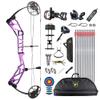Compound Bow Kit with All Accessory,CNC Milling Riser,USA Gordon Composites Limb,BCY String,19"-30" Draw Length,19-70Lbs Draw Weight,IBO 320fps for Hunting & Target (Purple) view 1