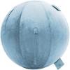 Husband Pillow Exercise Ball Case Cover Only - 65cm/26in, Sky Blue Mirco Plush Soft Cover for Yoga, Pilates, Fitness Balance Stability, Office Ball Chair Seat. Soft & Slip Resistant, Pro Guide view 1