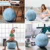Husband Pillow Exercise Ball Case Cover Only - 65cm/26in, Sky Blue Mirco Plush Soft Cover for Yoga, Pilates, Fitness Balance Stability, Office Ball Chair Seat. Soft & Slip Resistant, Pro Guide view 4