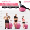 Husband Pillow Exercise Ball Case Cover Only - 85cm/40in, Pink Mirco Plush Soft Cover for Yoga, Pilates, Fitness Balance Stability, Office Ball Chair Seat. Soft & Slip Resistant, Pro Guide view 2