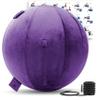 Exercise Ball 65cm/26in, Pink Mirco Plush Soft Cover with Manaul Pump For Yoga, Pilates, Fitness Balance Stability, Office Ball Chair Seat. Soft & Slip Resistant, Pro Guide view 1