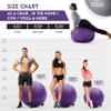 Exercise Ball 65cm/26in, Pink Mirco Plush Soft Cover with Manaul Pump For Yoga, Pilates, Fitness Balance Stability, Office Ball Chair Seat. Soft & Slip Resistant, Pro Guide view 2