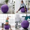 Exercise Ball 65cm/26in, Pink Mirco Plush Soft Cover with Manaul Pump For Yoga, Pilates, Fitness Balance Stability, Office Ball Chair Seat. Soft & Slip Resistant, Pro Guide view 4