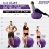 Husband Pillow Exercise Ball Case Cover Only - 85cm/40in, Purple Mirco Plush Soft Cover for Yoga, Pilates, Fitness Balance Stability, Office Ball Chair Seat. Soft & Slip Resistant, Pro Guide view 2