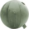 Husband Pillow Exercise Ball Case Cover Only - 85cm/40in, Desert Sage Mirco Plush Soft Cover for Yoga, Pilates, Fitness Balance Stability, Office Ball Chair Seat. Soft & Slip Resistant, Pro Guide view 1