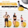 Exercise Ball 65cm/26in, Gold Rush Microsuede Leather Cover with Electric Quick Pump For Yoga, Pilates, Fitness Balance Stability, Office Ball Chair Seat. Soft & Slip Resistant, Pro Guide view 2