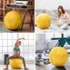 Exercise Ball 65cm/26in, Gold Rush Microsuede Leather Cover with Electric Quick Pump For Yoga, Pilates, Fitness Balance Stability, Office Ball Chair Seat. Soft & Slip Resistant, Pro Guide view 4