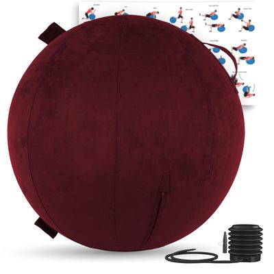 Husband Pillow Exercise Ball 65cm/26in, Arizona Maroon Microsuede Leather Cover with Manaul Pump for Yoga, Pilates, Fitness Balance Stability, Office Ball Chair Seat. Soft & Slip Resistant, Pro Guide