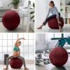 Husband Pillow Exercise Ball 65cm/26in, Arizona Maroon Microsuede Leather Cover with Manaul Pump for Yoga, Pilates, Fitness Balance Stability, Office Ball Chair Seat. Soft & Slip Resistant, Pro Guide view 4